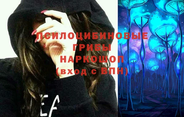 спайс Бородино